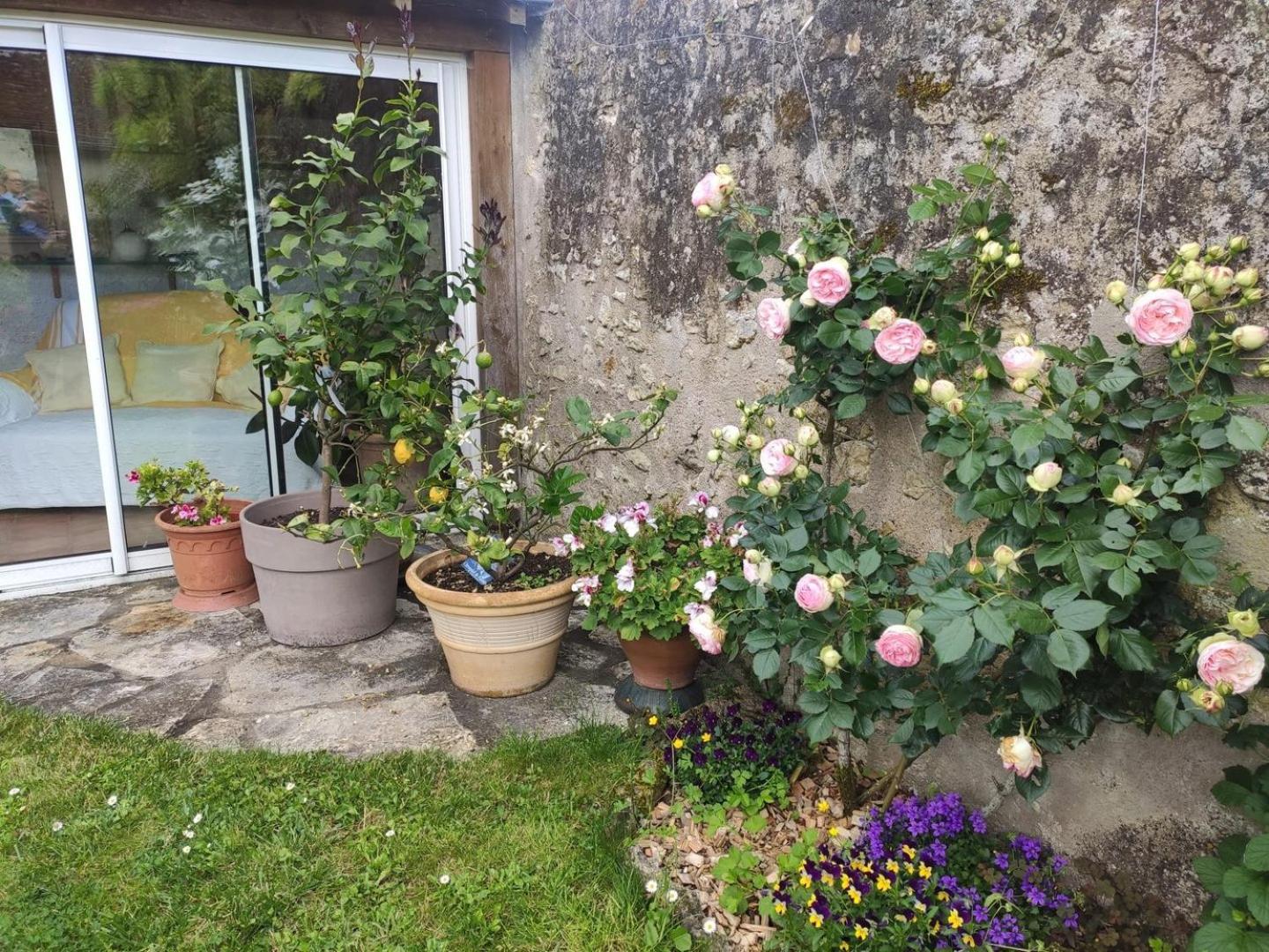 Le Relais De L'Ormeau - Charmant Gite Pour 4 Pers. Lussault-sur-Loire Esterno foto